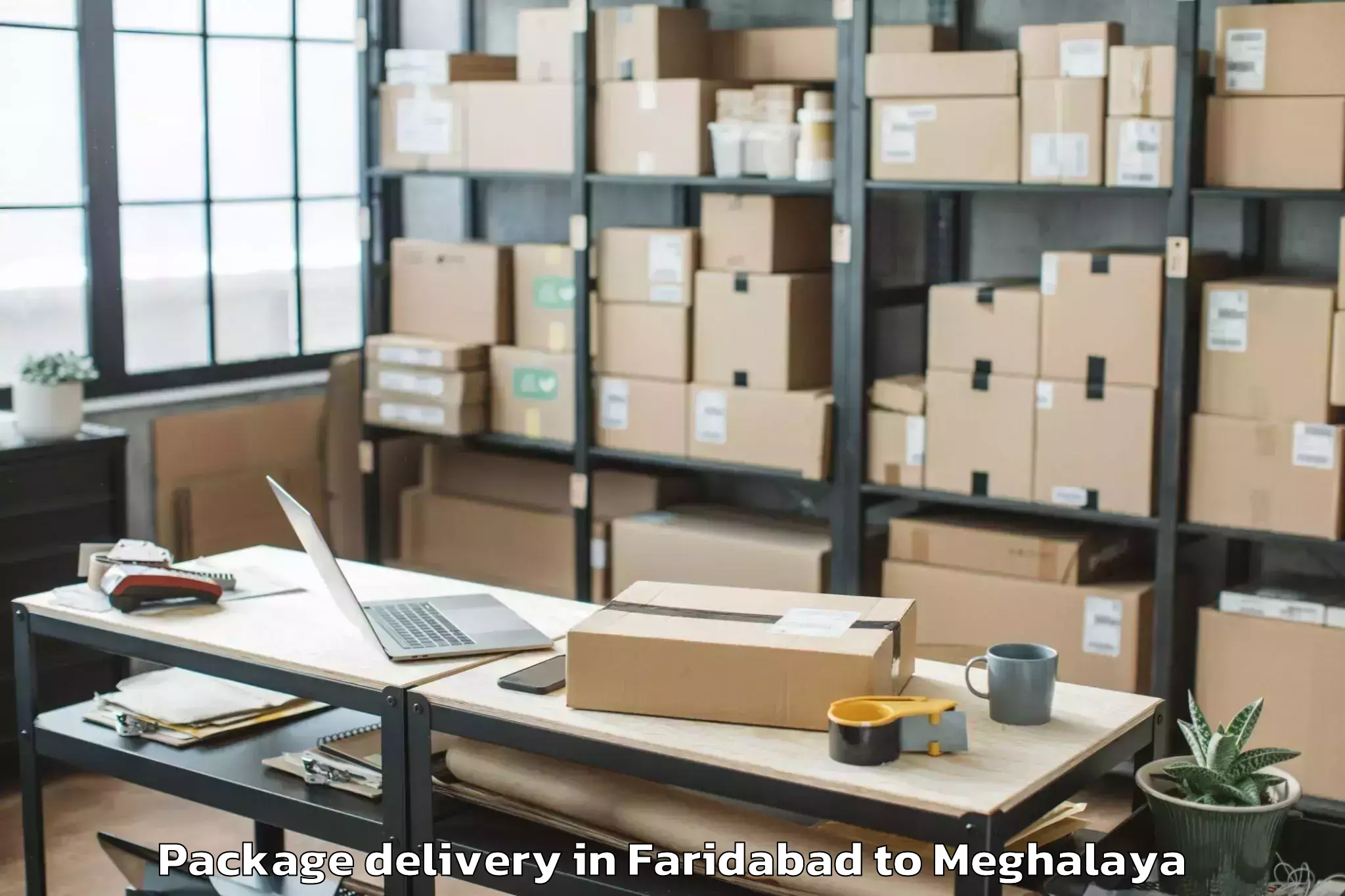 Quality Faridabad to Mawshynrut Package Delivery